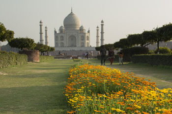 taj